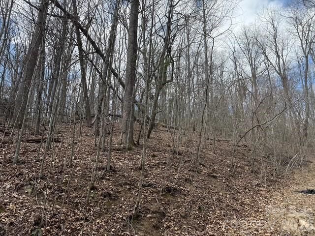 158 Chattooga Run #402, Hendersonville, NC 28739 - Photo 2