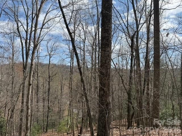 158 Chattooga Run #402, Hendersonville, NC 28739 - Photo 4