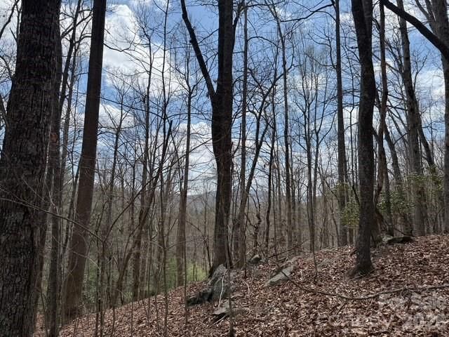 158 Chattooga Run #402, Hendersonville, NC 28739 - Photo 5