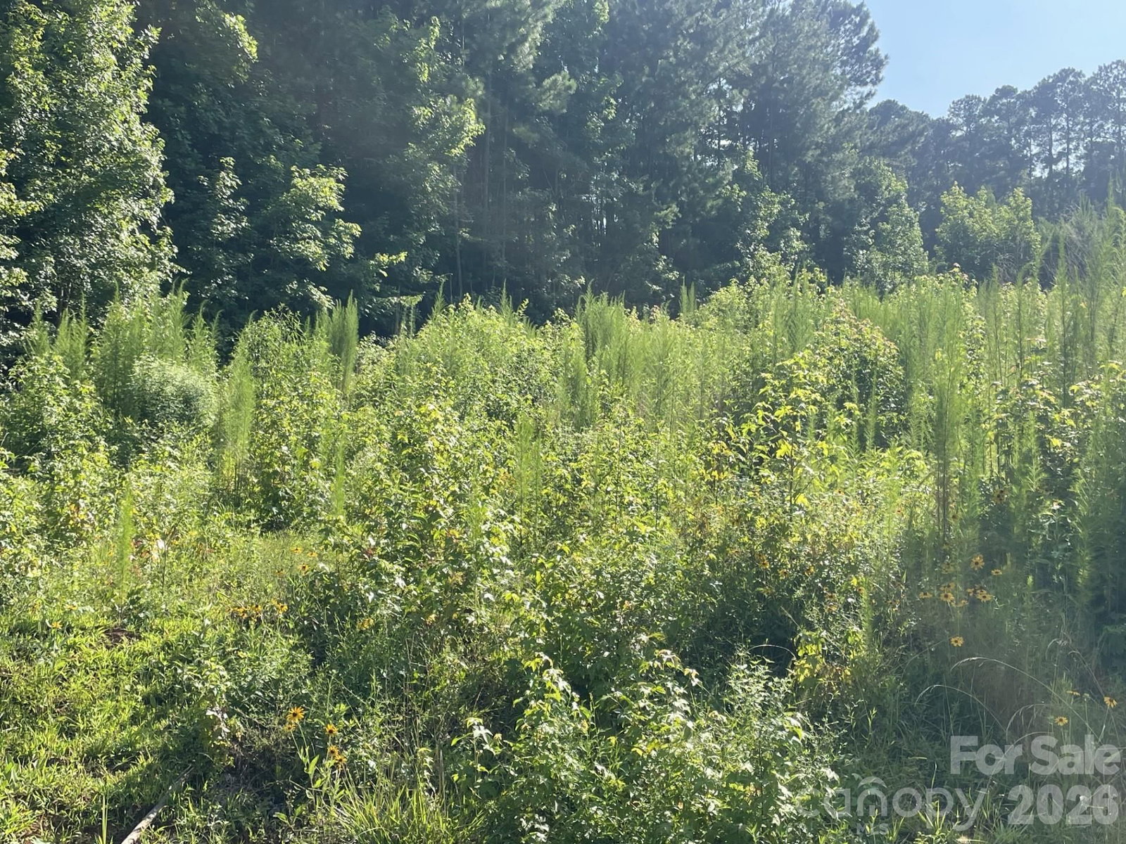 Property at 0 Ski Pond, New London, NC 28127