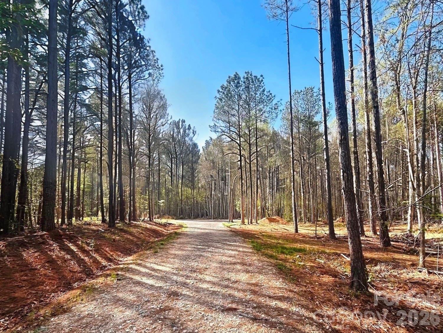 Property at 0 Peden Bridge, Chester, SC 29706