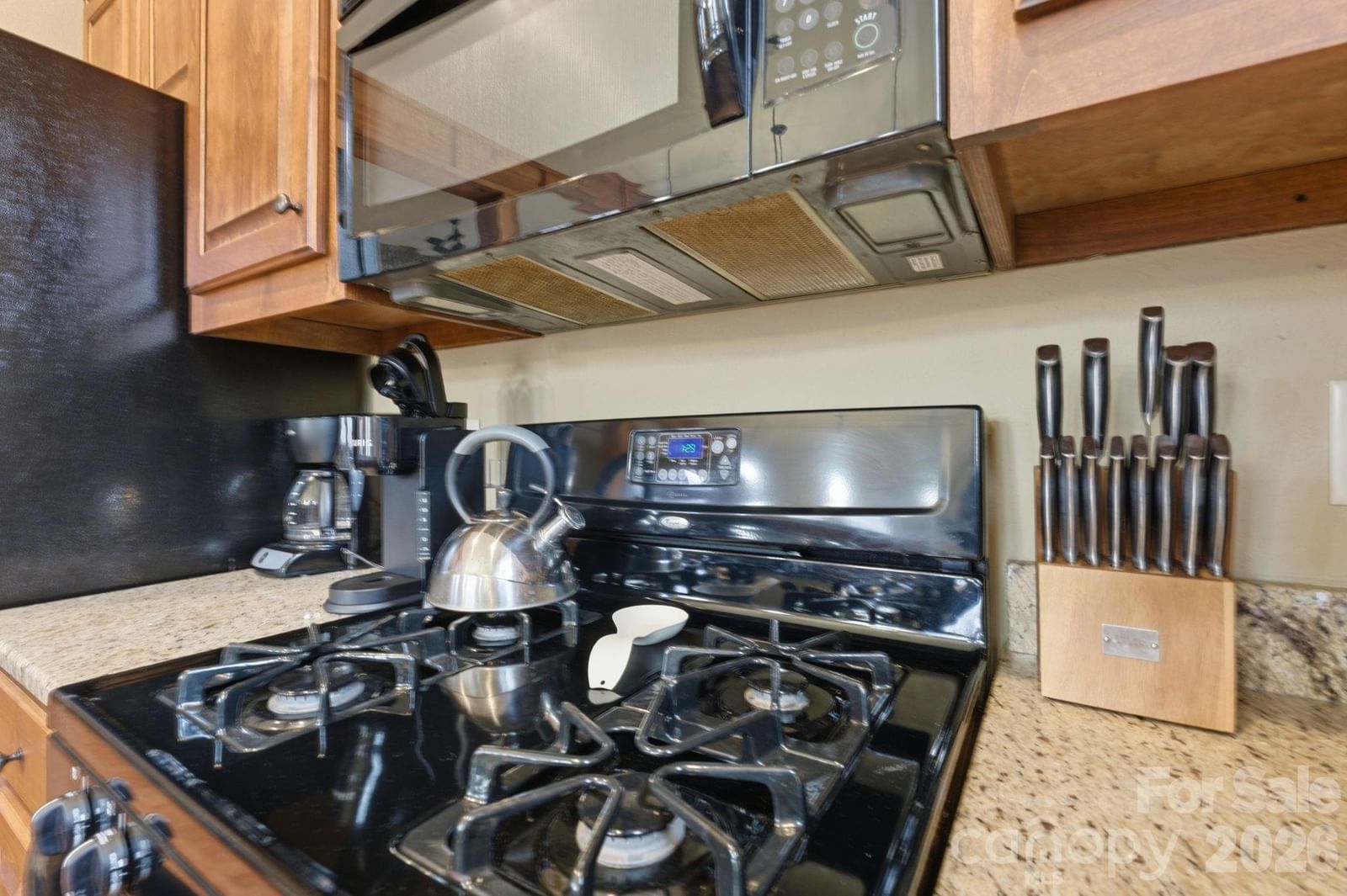 150 Saddle Notch Lane #Unit A-1, Tuckasegee, NC 28783 - Photo 4