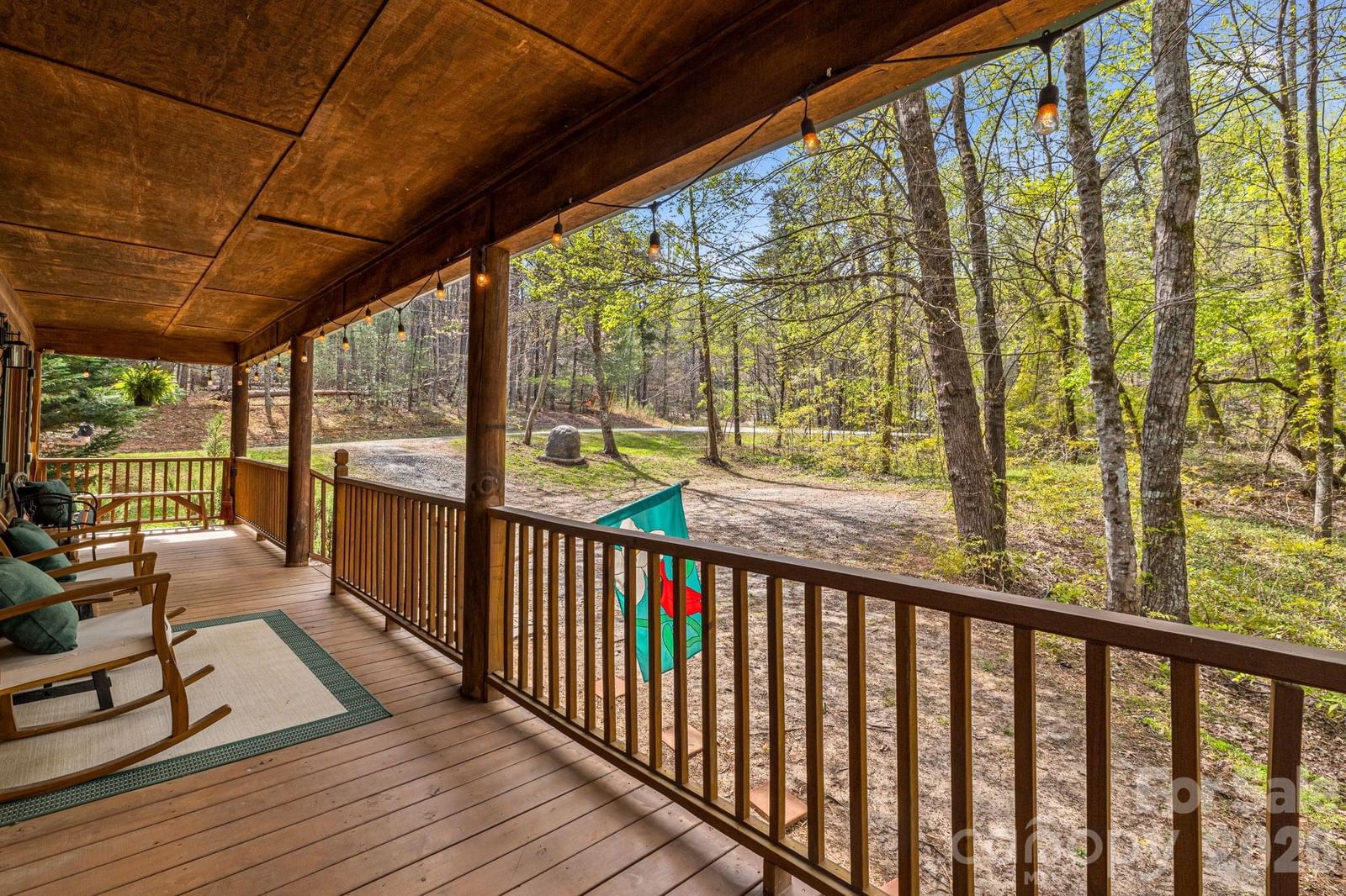 517 Pheasant Street, Lake Lure, NC 28746 - Photo 3