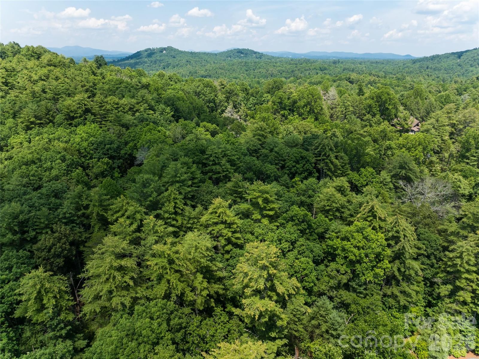 34 Oak Gate Drive, Hendersonville, NC 28739 - Photo 5