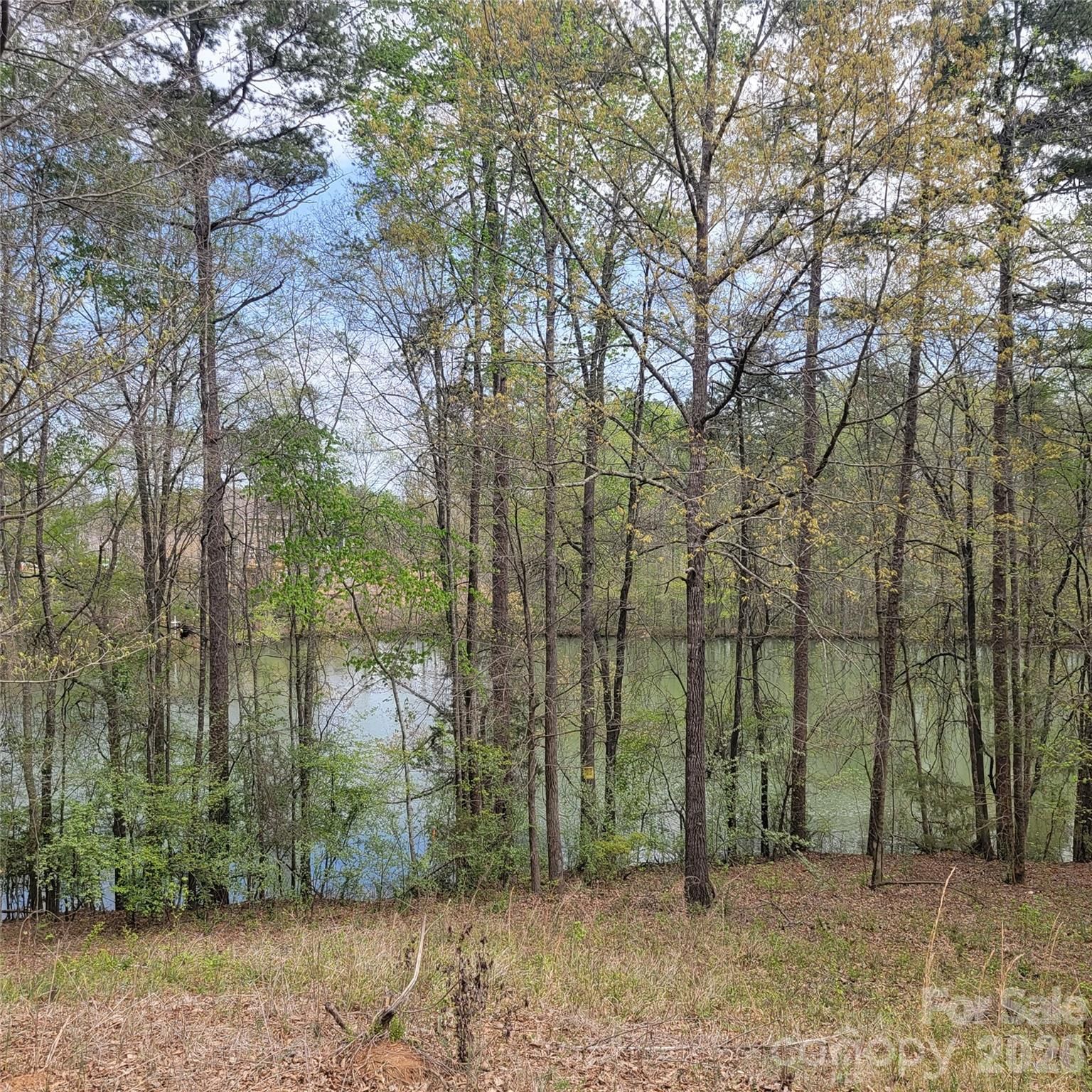 Property at 230 Walnut, Belmont, NC 28012