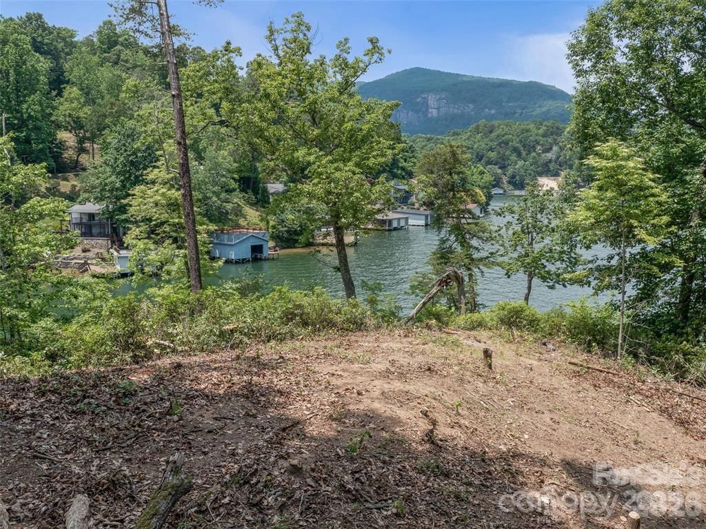 99999 Hawthorne Drive, Lake Lure, NC 28746 - Photo 3