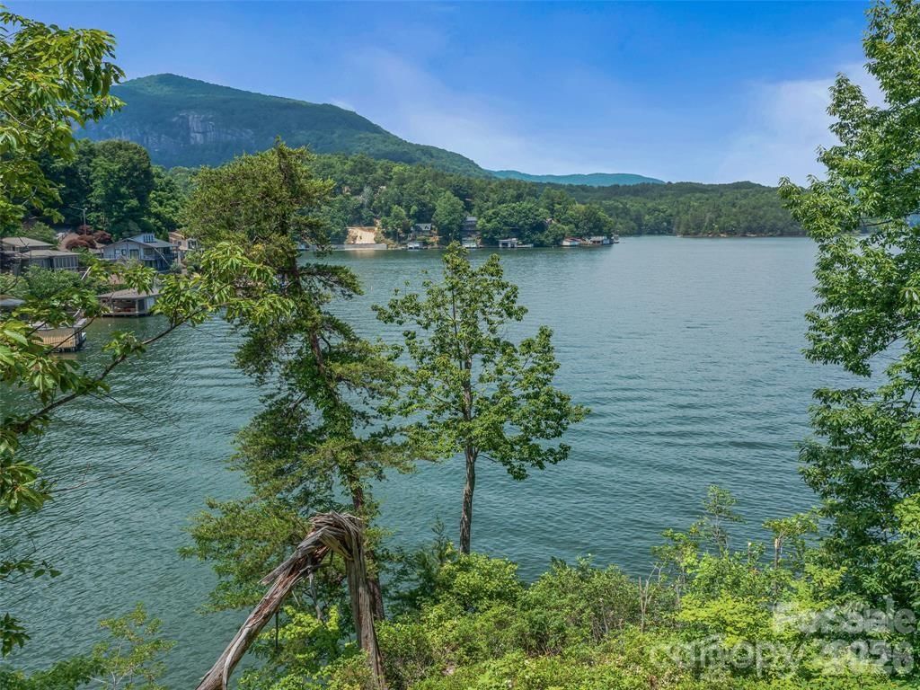 99999 Hawthorne Drive, Lake Lure, NC 28746 - Photo 4