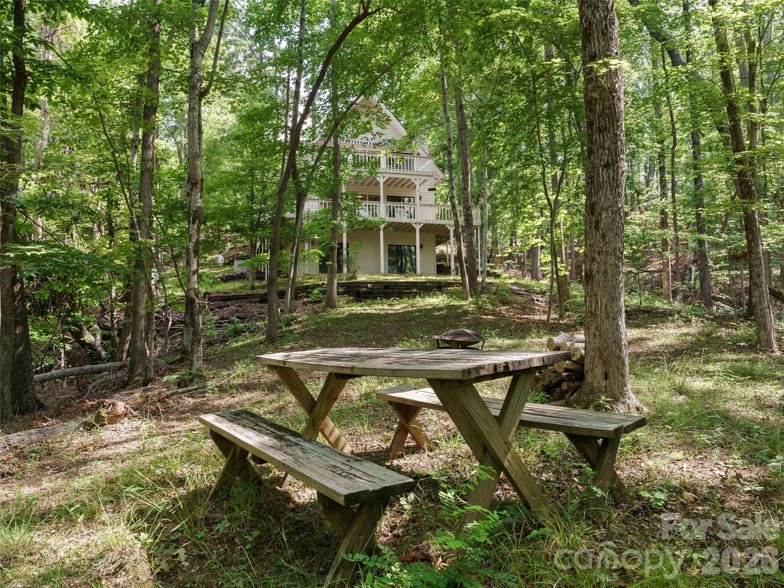 43 Hungryneck Hollow Lane, Saluda, NC 28773 - Photo 2