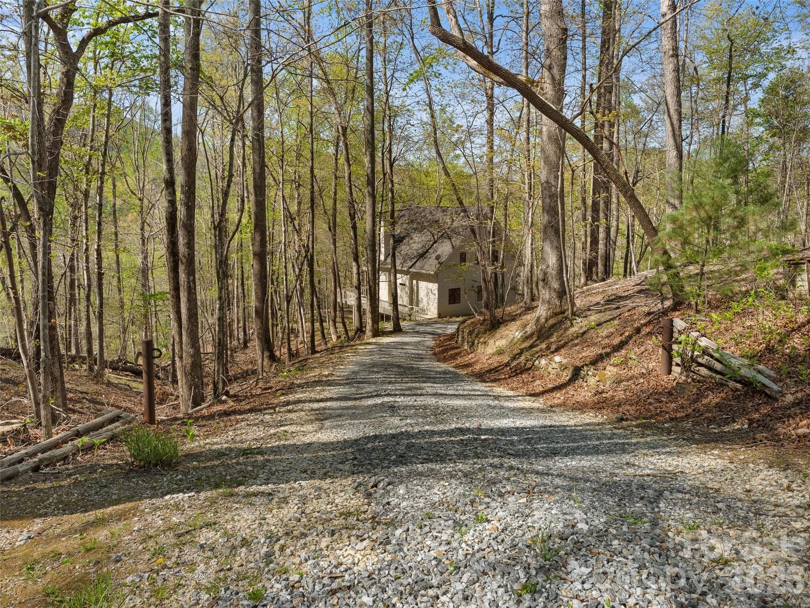 43 Hungryneck Hollow Lane, Saluda, NC 28773 - Photo 3