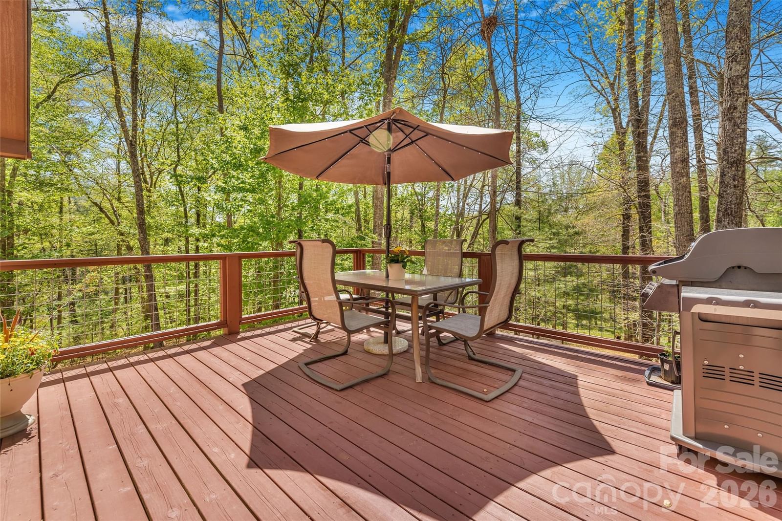 446 Amanda Drive, Mars Hill, NC 28754 - Photo 4