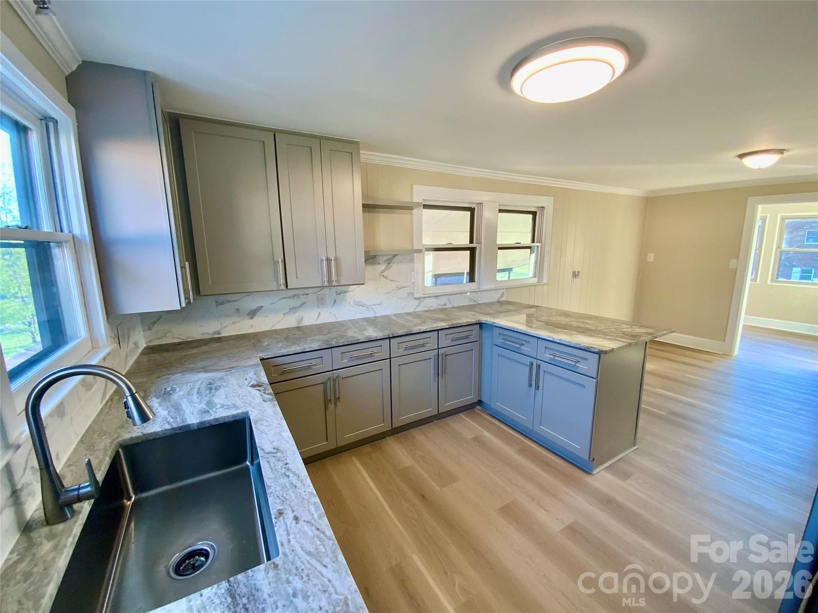 310 Horn Bottom Road, Forest City, NC 28043 - Photo 4