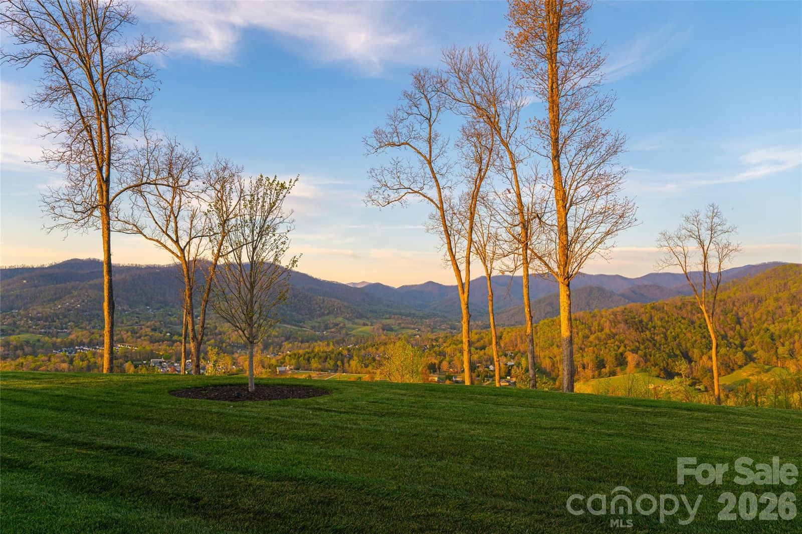 170 Bear View Road, Weaverville, NC 28787 - Photo 5