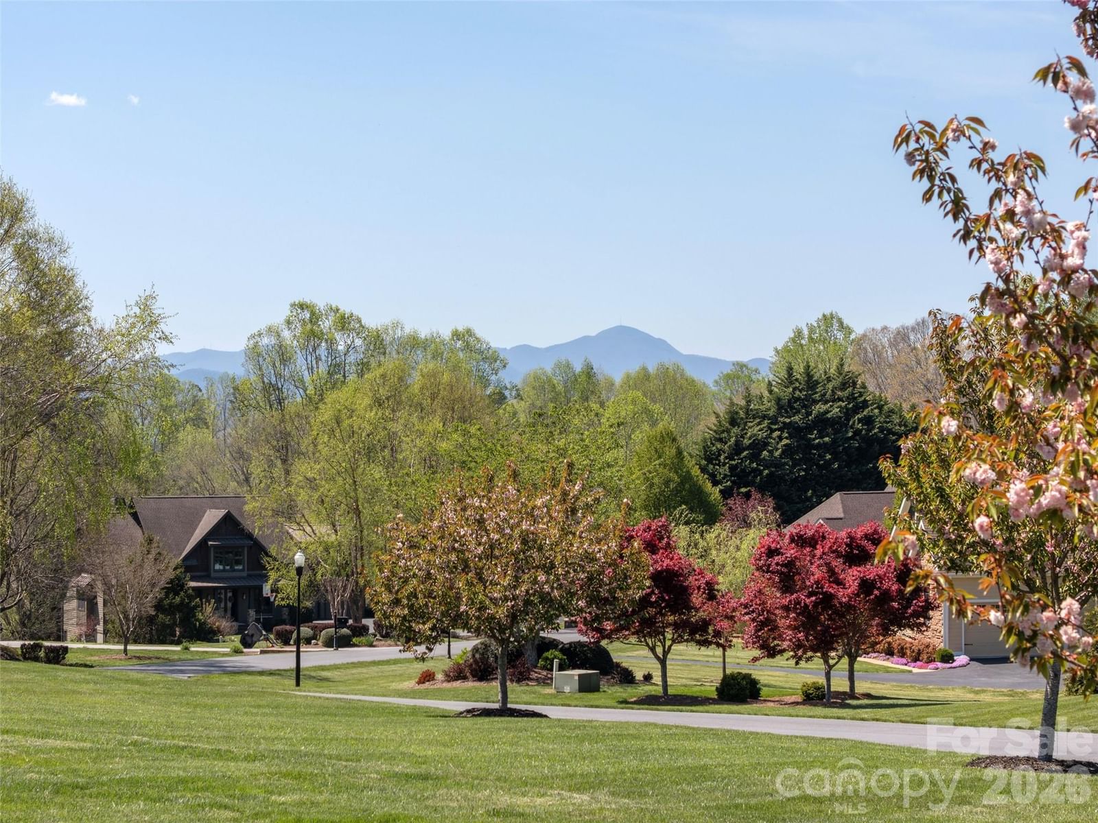 90 Drummond Circle, Hendersonville, NC 28791 - Photo 4