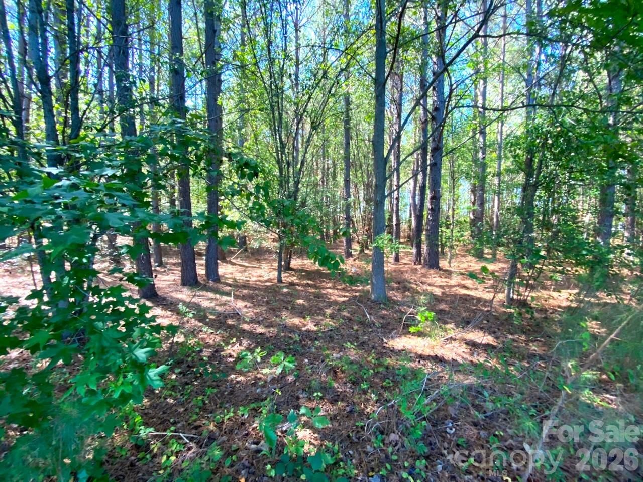 Property at 147-Lot A Baxter, Cherryville, NC 28021