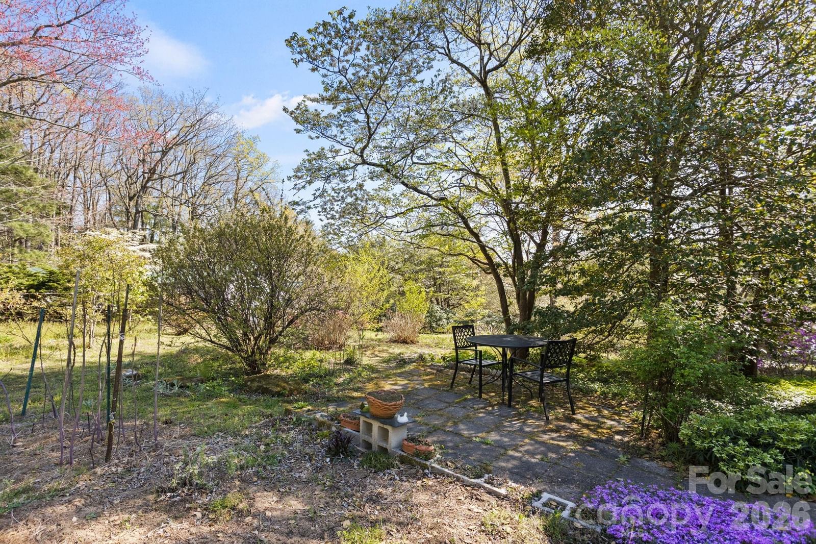 367 Crescent Street, Saluda, NC 28773 - Photo 3