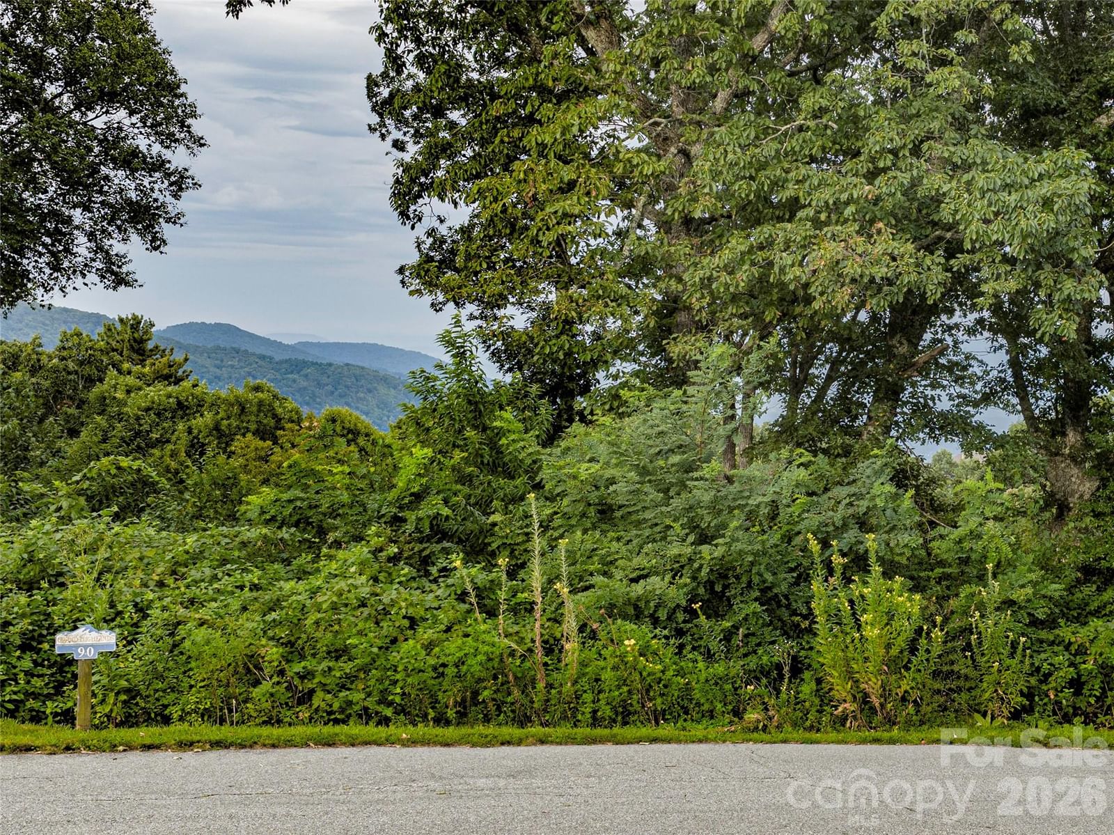 Lot #90 Summerset Drive, Hendersonville, NC 28792 - Photo 3