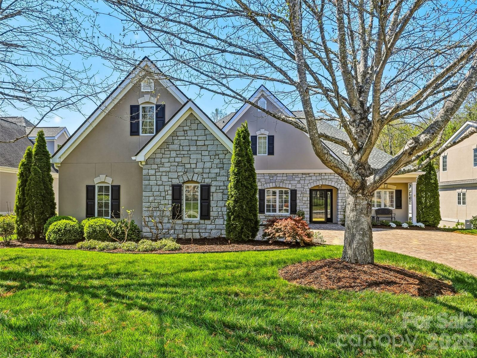33 Tiverton Lane, Asheville, NC 28803 - Photo 3