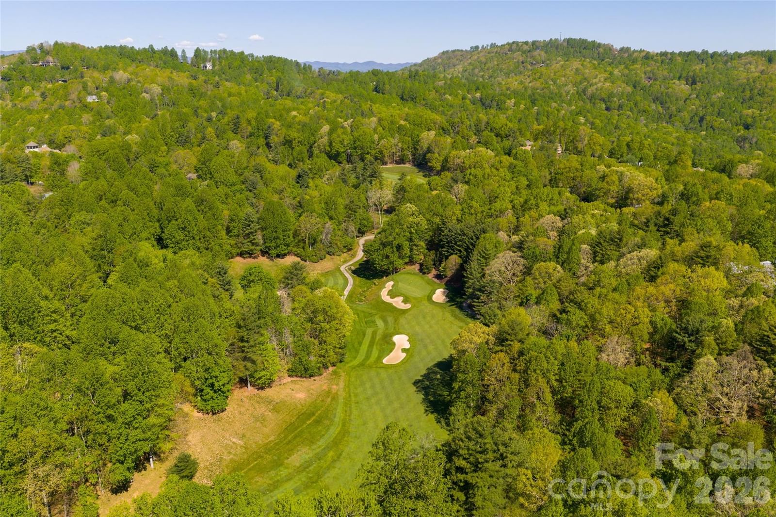 7 Cooper Cove, Hendersonville, NC 28739 - Photo 3