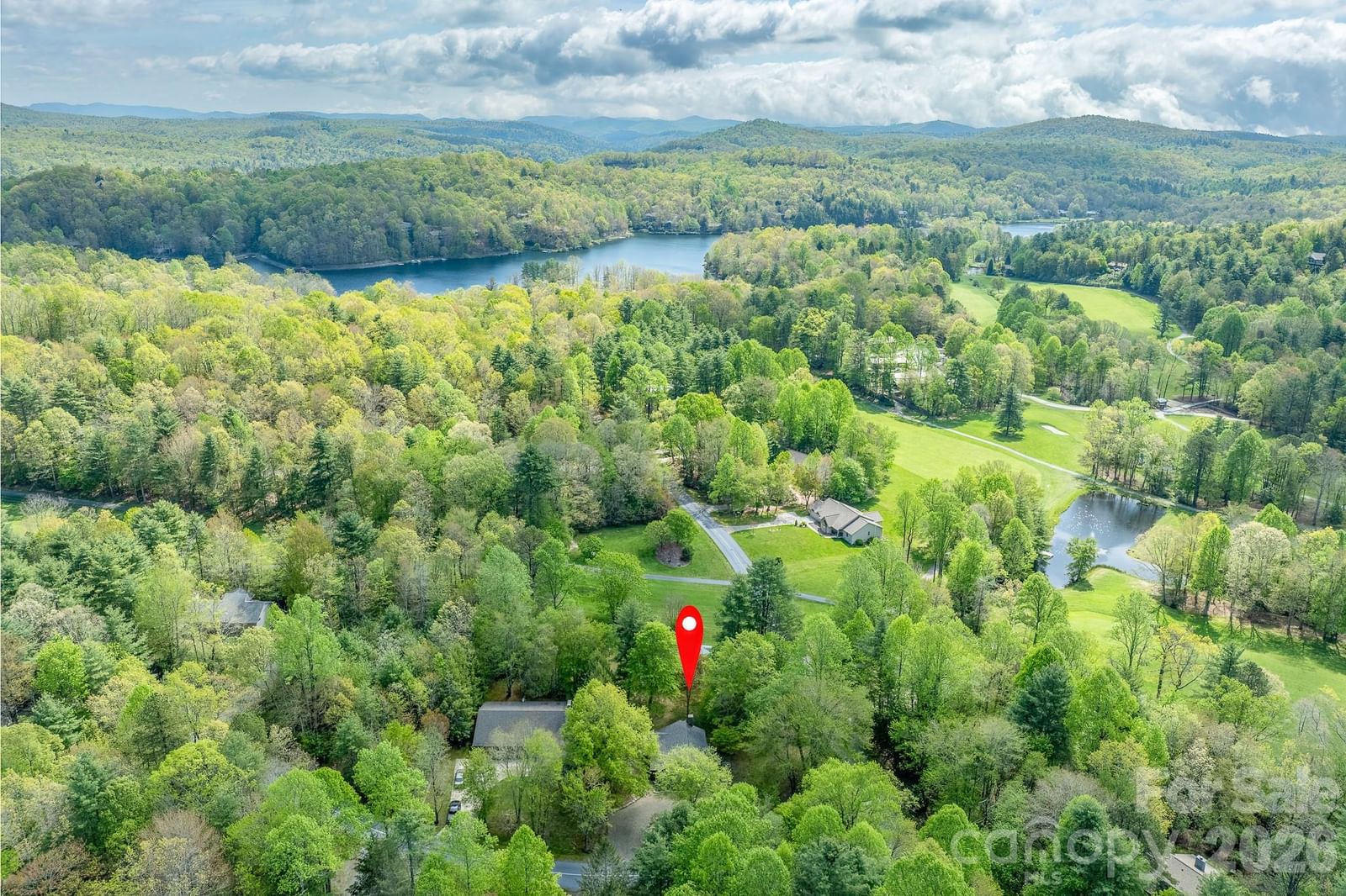 22 Dalonigei Court, Brevard, NC 28712 - Photo 4