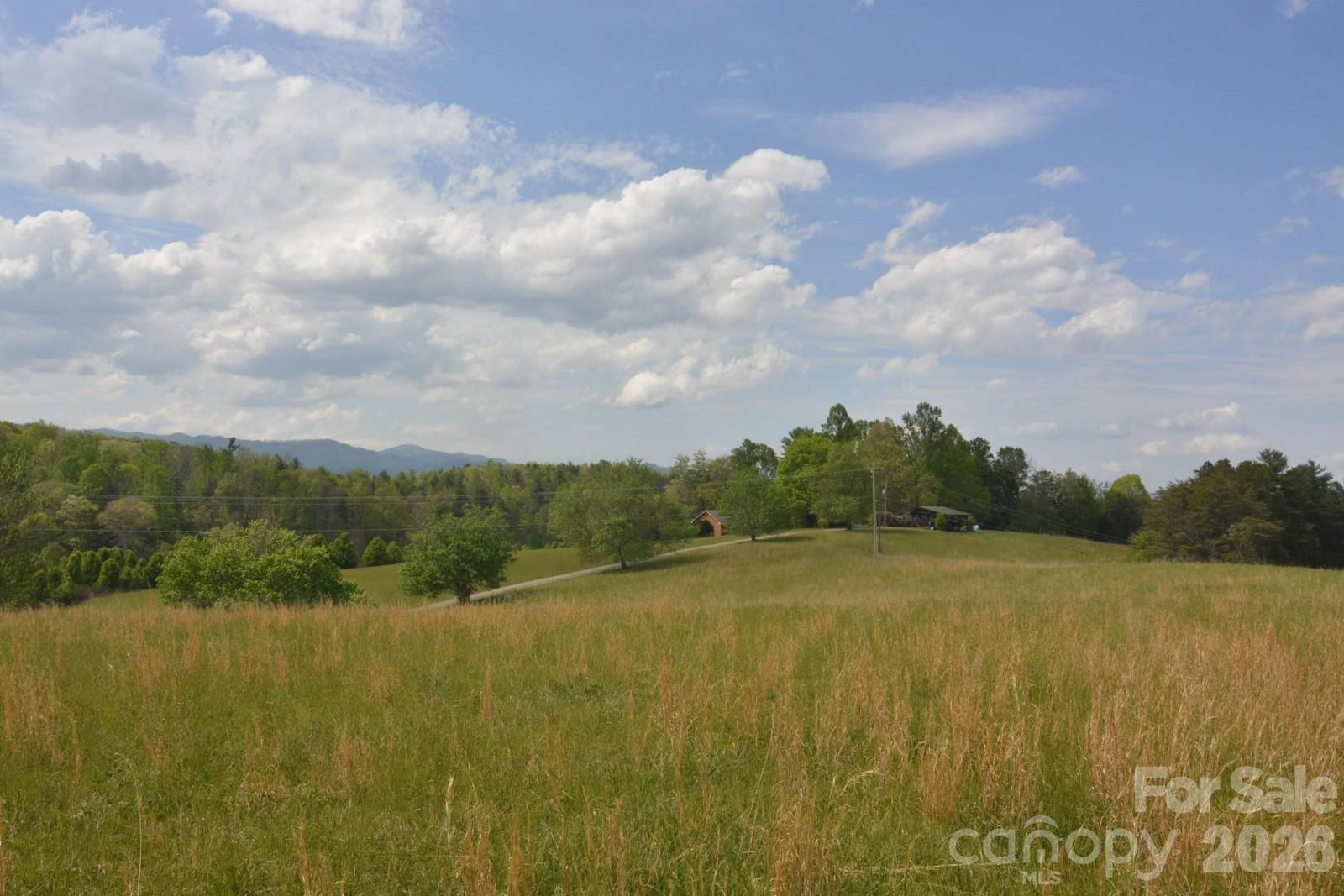 16 Rocking Chair Lane, Leicester, NC 28748 - Photo 2