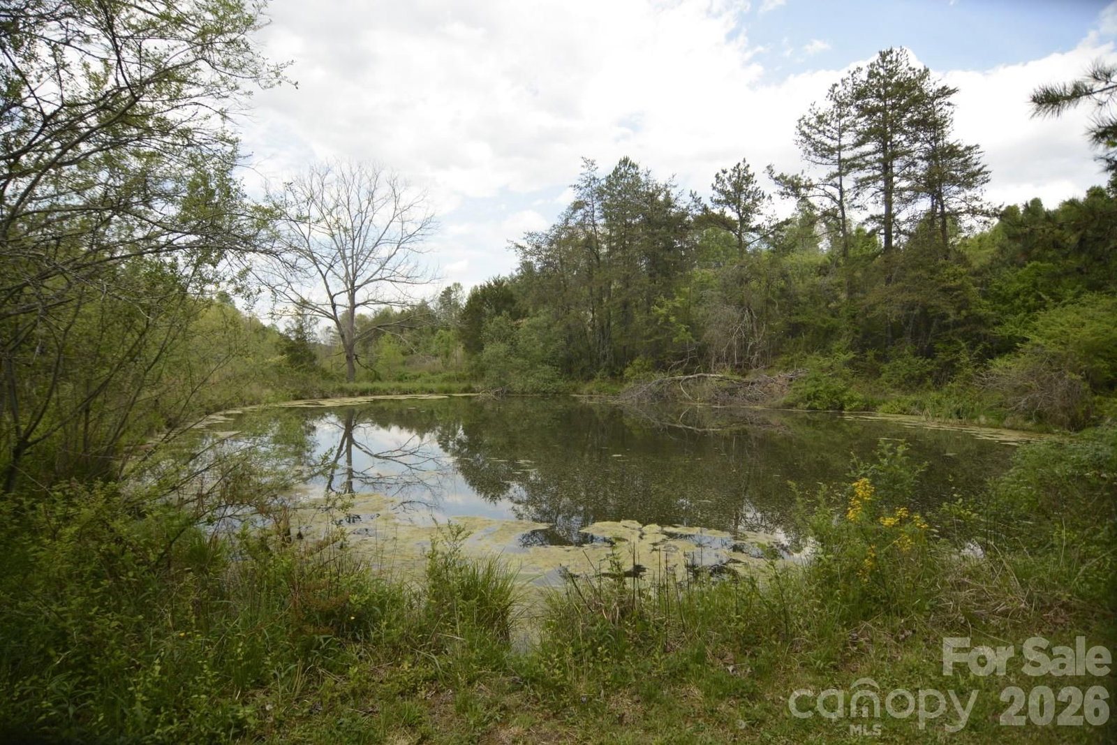 16 Rocking Chair Lane, Leicester, NC 28748 - Photo 3