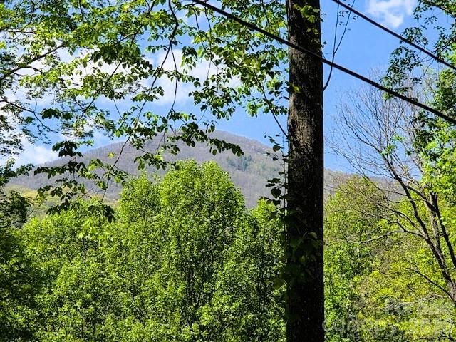 191 Forest Drive, Maggie Valley, NC 28751 - Photo 5