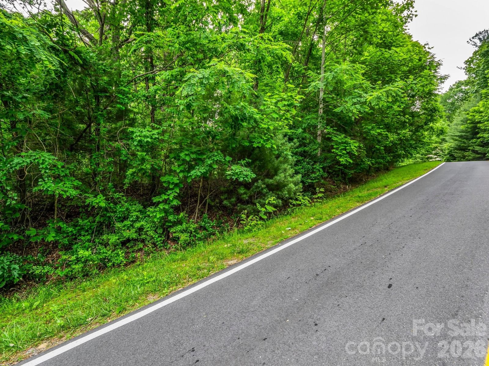 168 Tarnhill Drive, Flat Rock, NC 28731 - Photo 5
