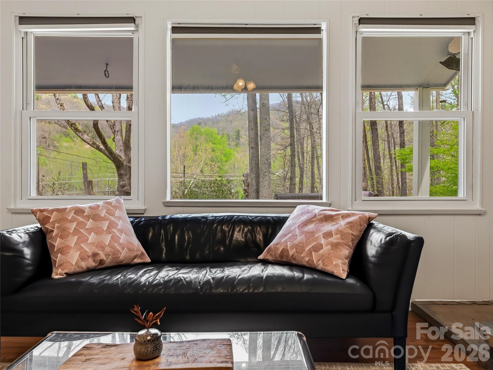 36 Dogwood Drive, Maggie Valley, NC 28751 - Photo 3