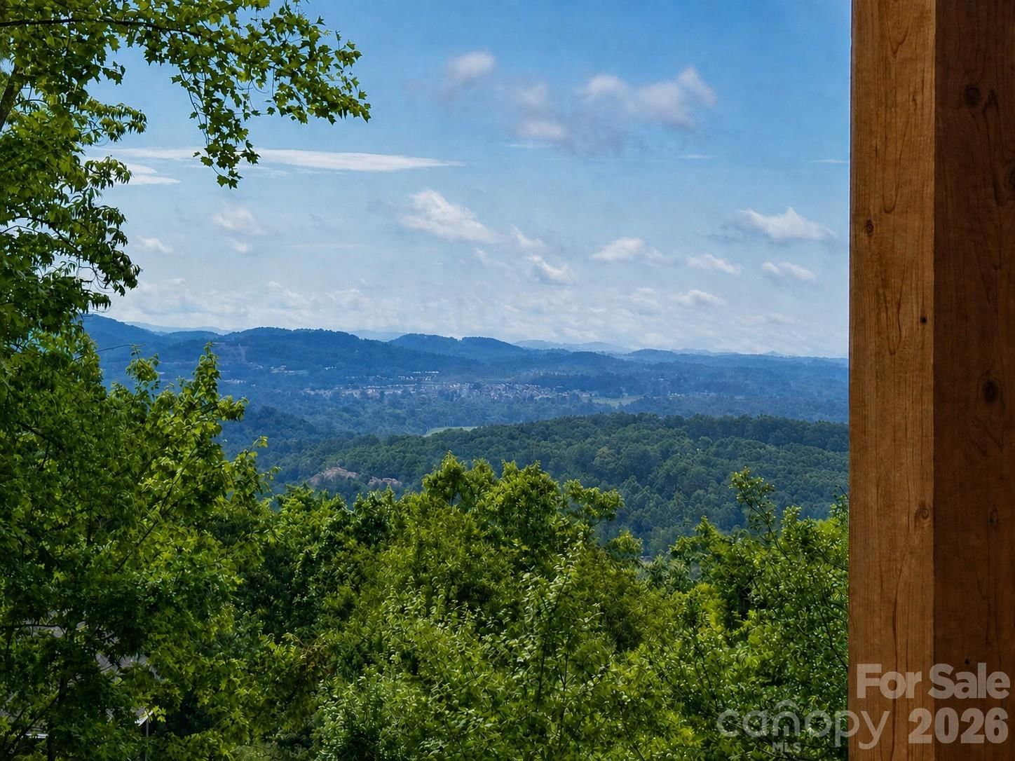 96 Split Rock Trail, Arden, NC 28704 - Photo 3