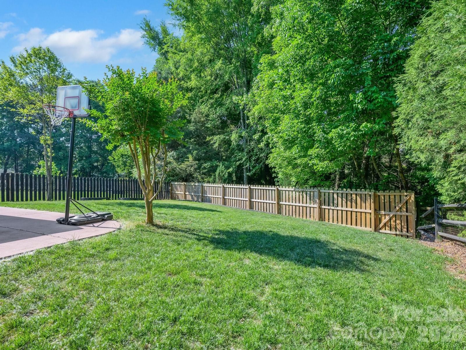 17234 Cambridge Woods Court, Charlotte, NC 28277 - Photo 4