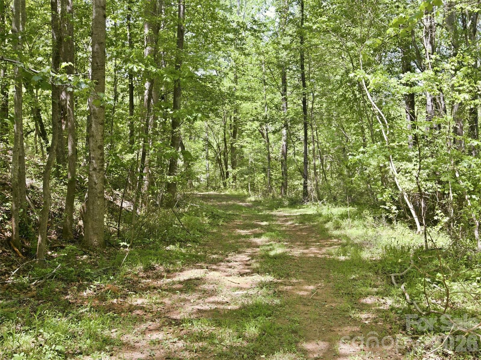 450 Washington Street, Forest City, NC 28043 - Photo 5