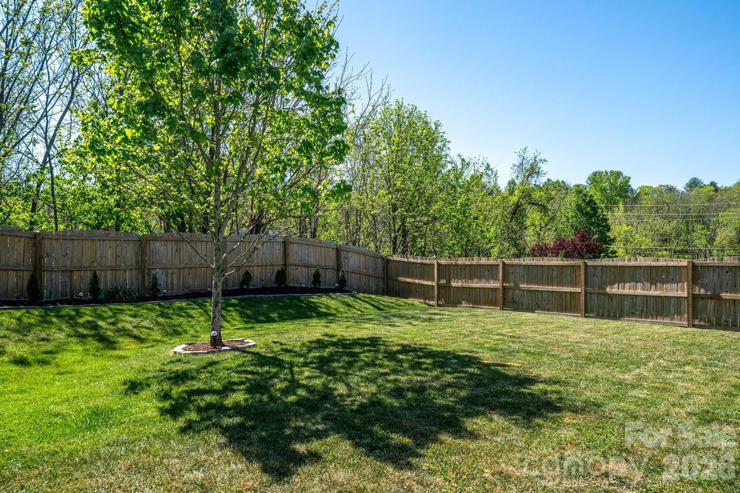 9 Partridge Berry Lane, Weaverville, NC 28787 - Photo 4