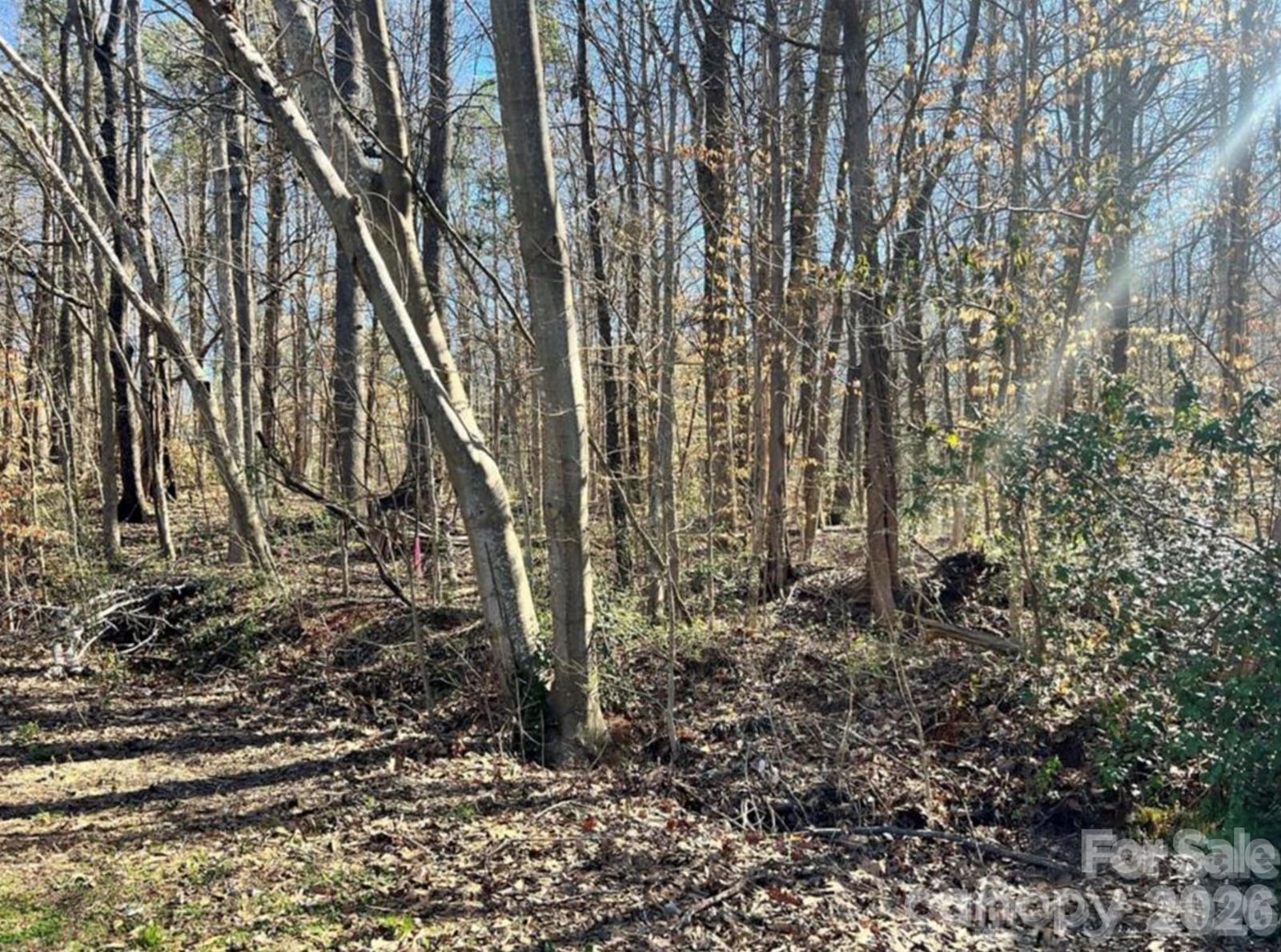 Property at 02 Lurecliff, Fort Mill, SC 29708