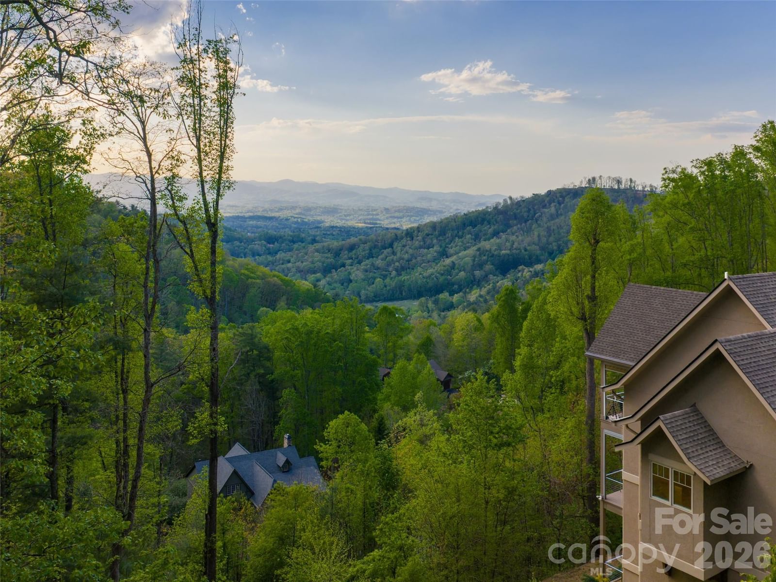 32 Timberwolf Court, Asheville, NC 28804