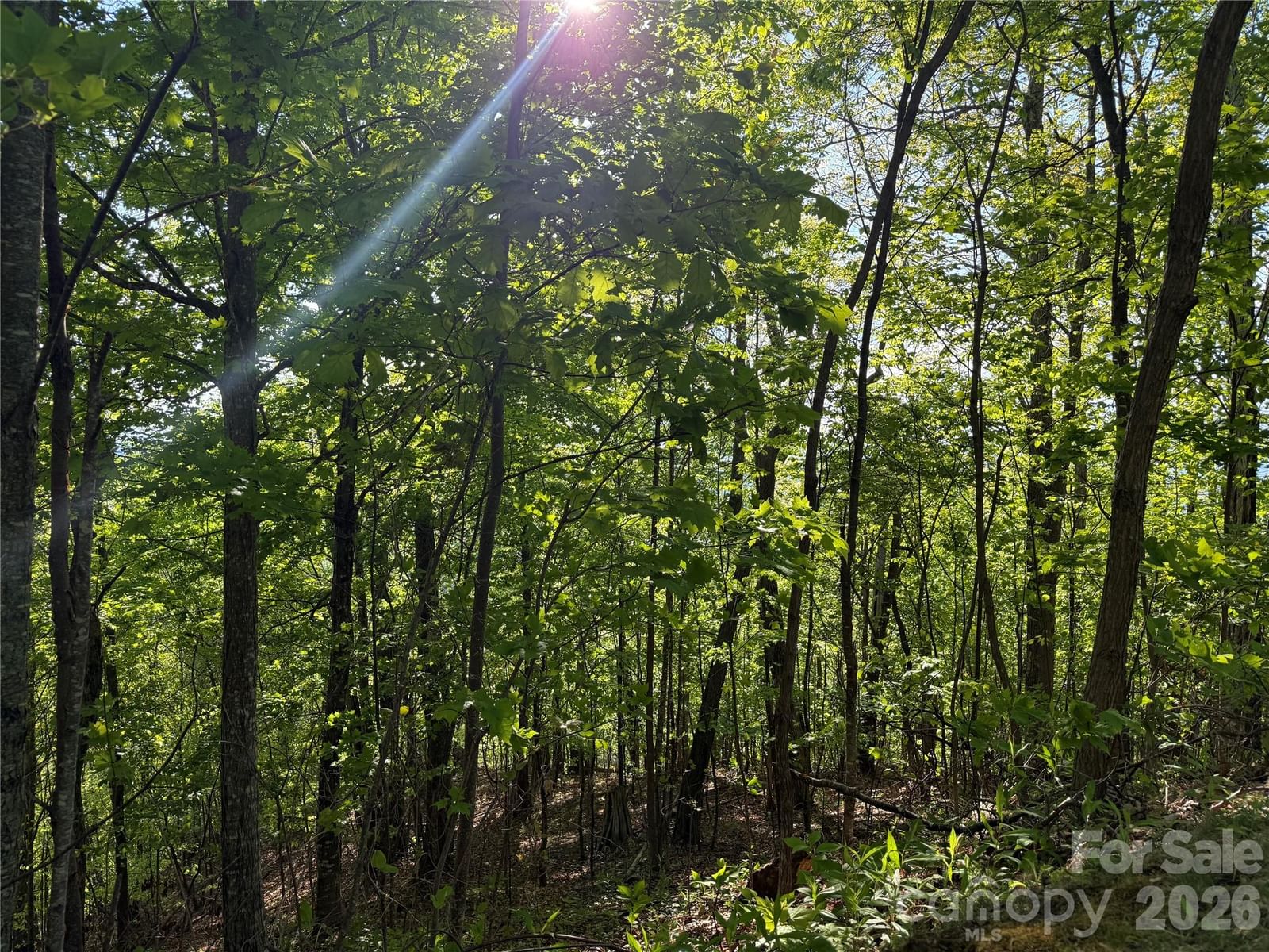 Lot 9 & 10 Andrew Banks Road, Burnsville, NC 28714 - Photo 2