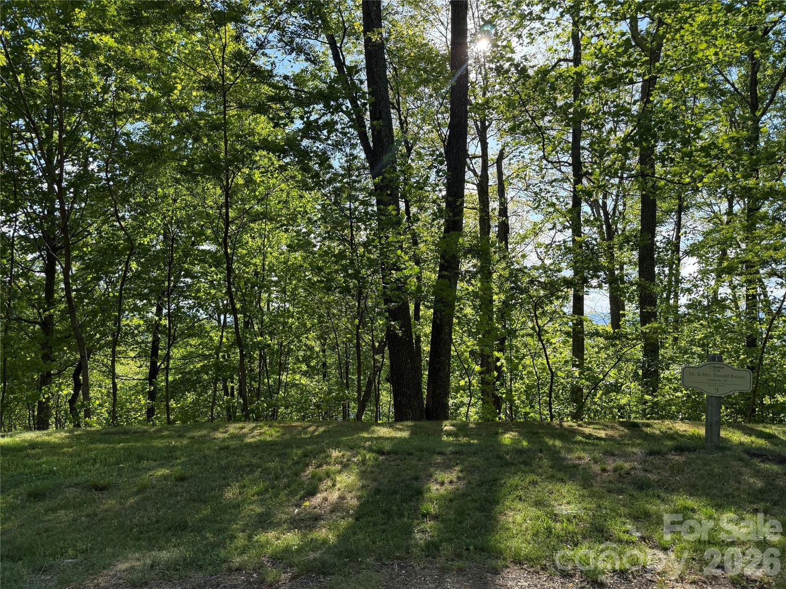 Lot 9 & 10 Andrew Banks Road, Burnsville, NC 28714 - Photo 3