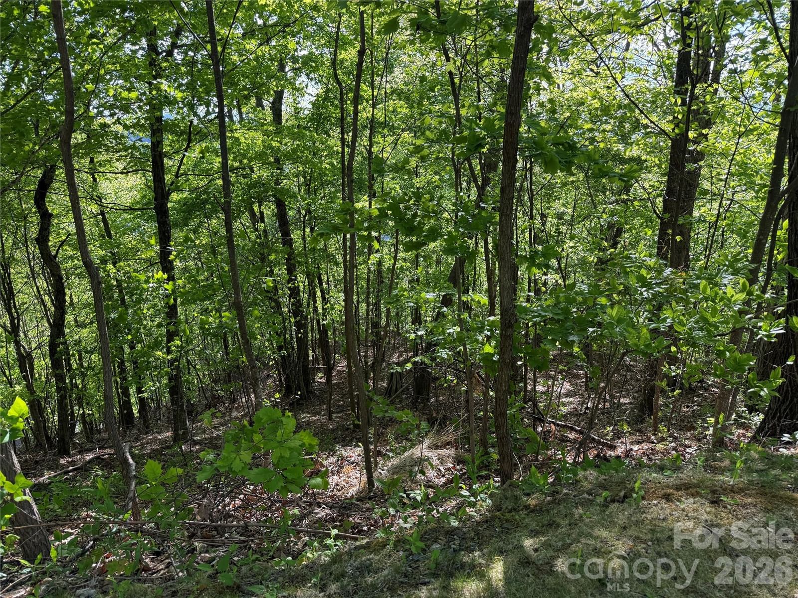 Lot 9 & 10 Andrew Banks Road, Burnsville, NC 28714 - Photo 4