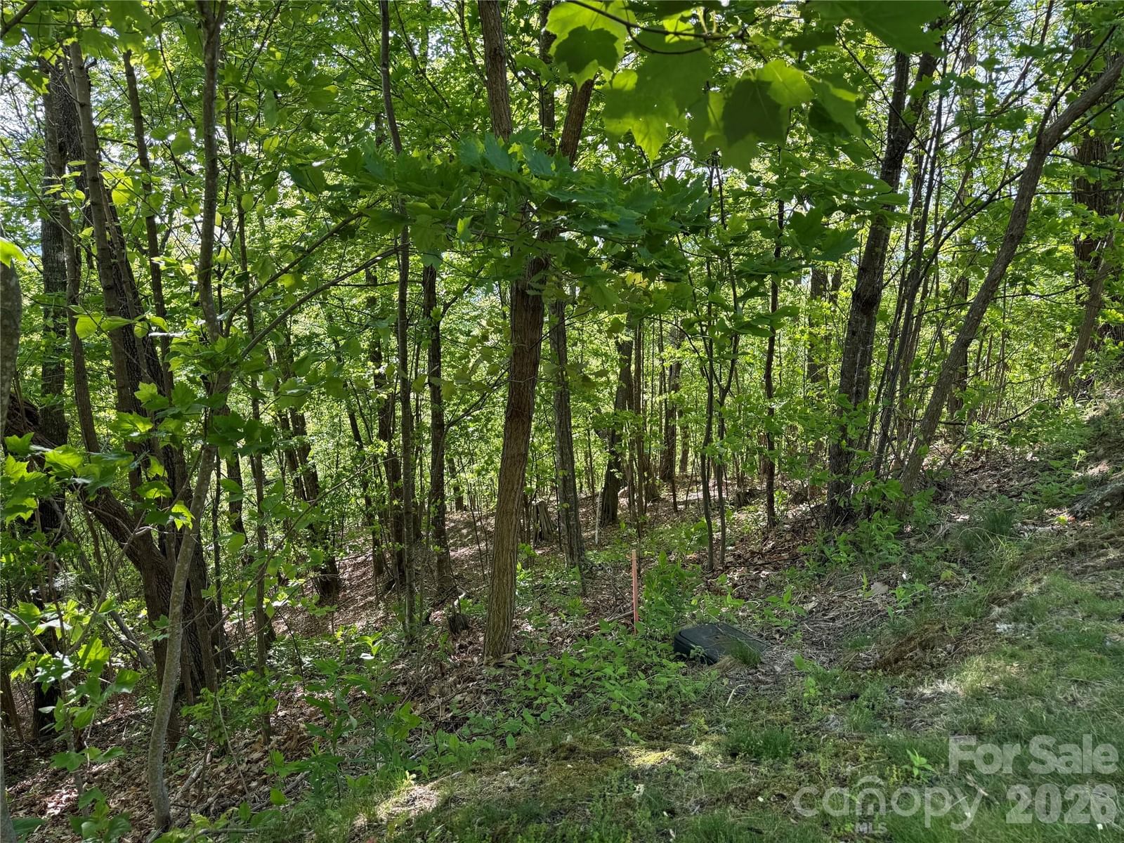 Lot 9 & 10 Andrew Banks Road, Burnsville, NC 28714 - Photo 5