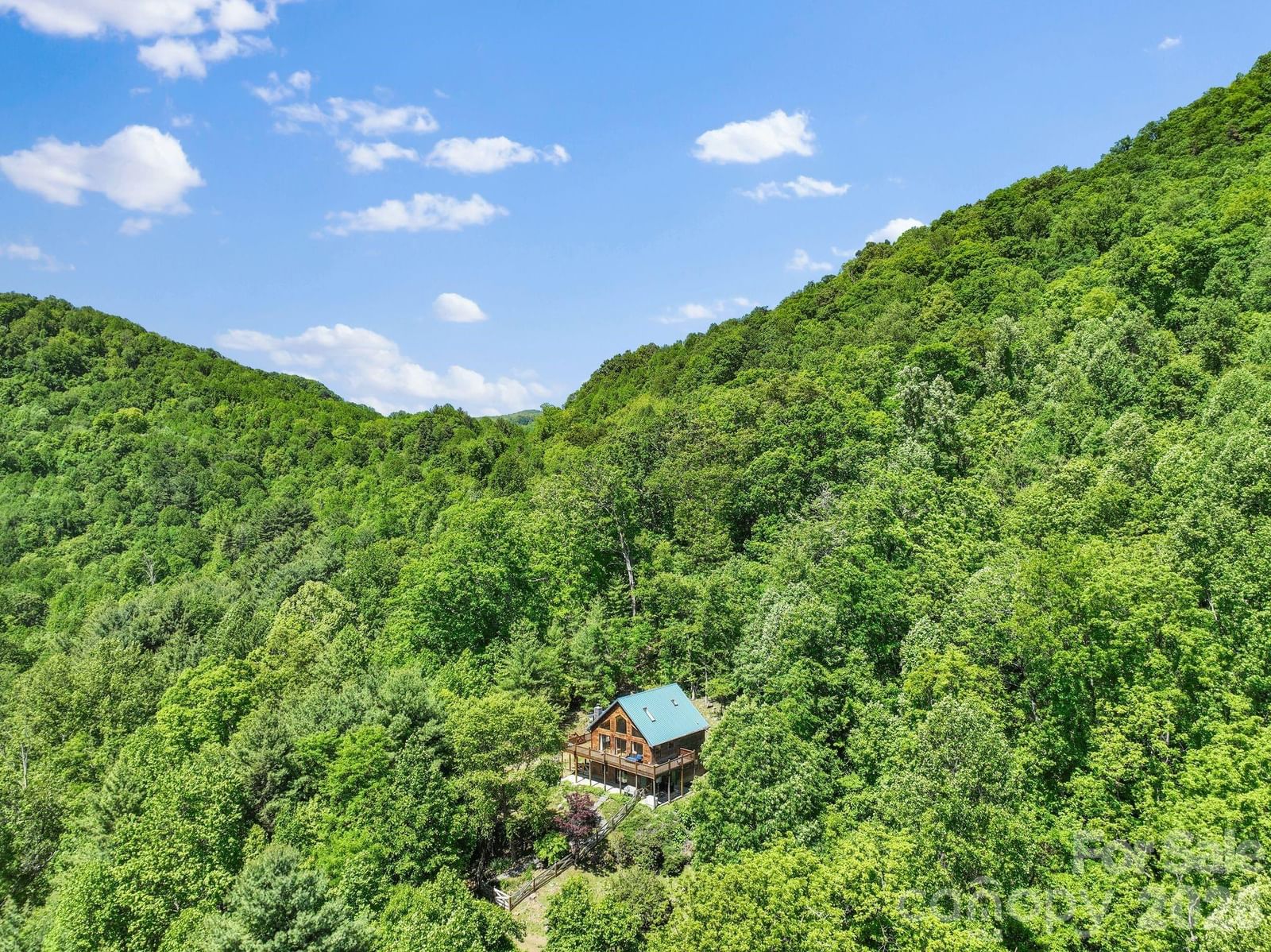 1206 Caldwell Mountain Road, Hot Springs, NC 28743 - Photo 2