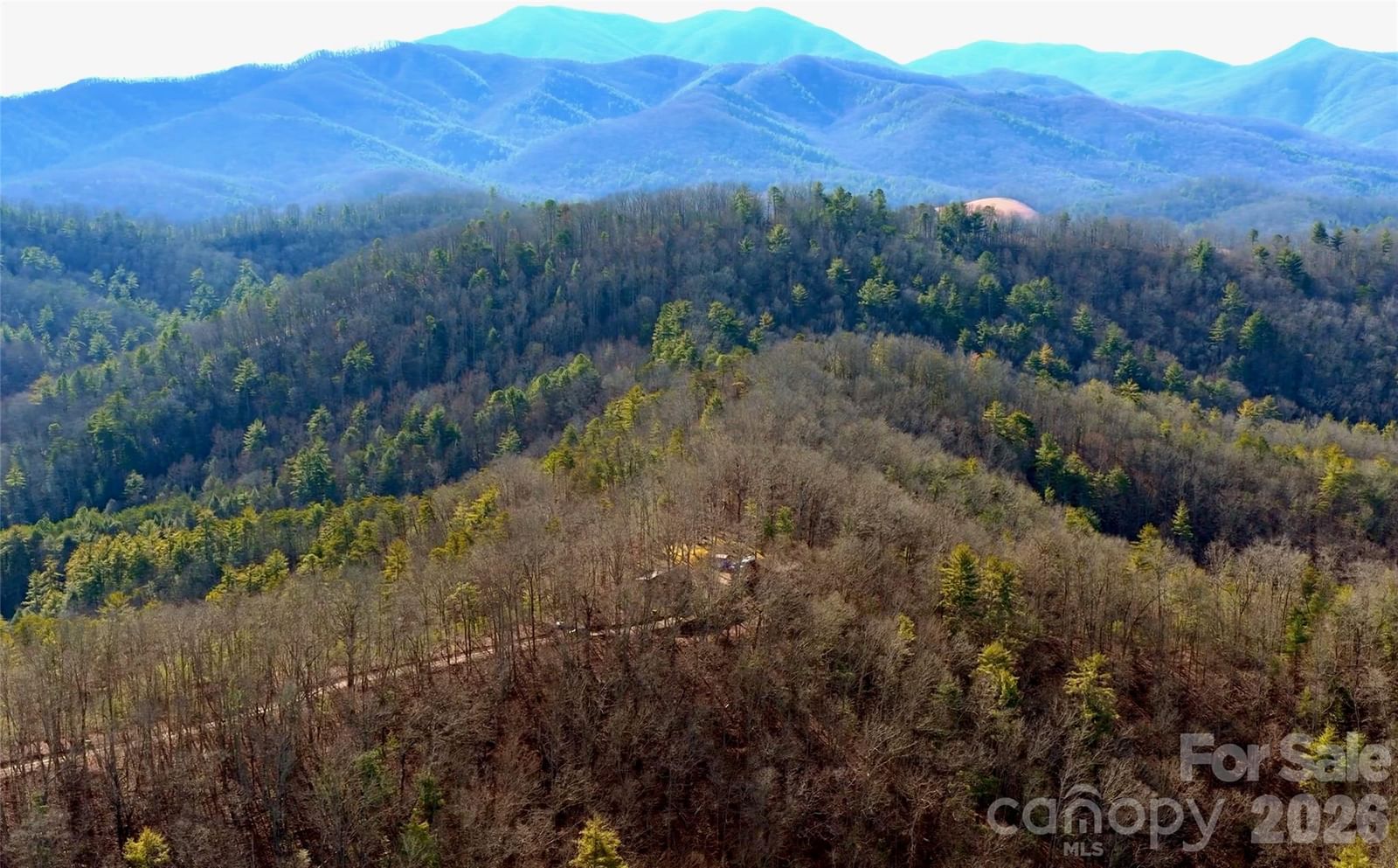 288 Rebel Drive, Hot Springs, NC 28743 - Photo 3