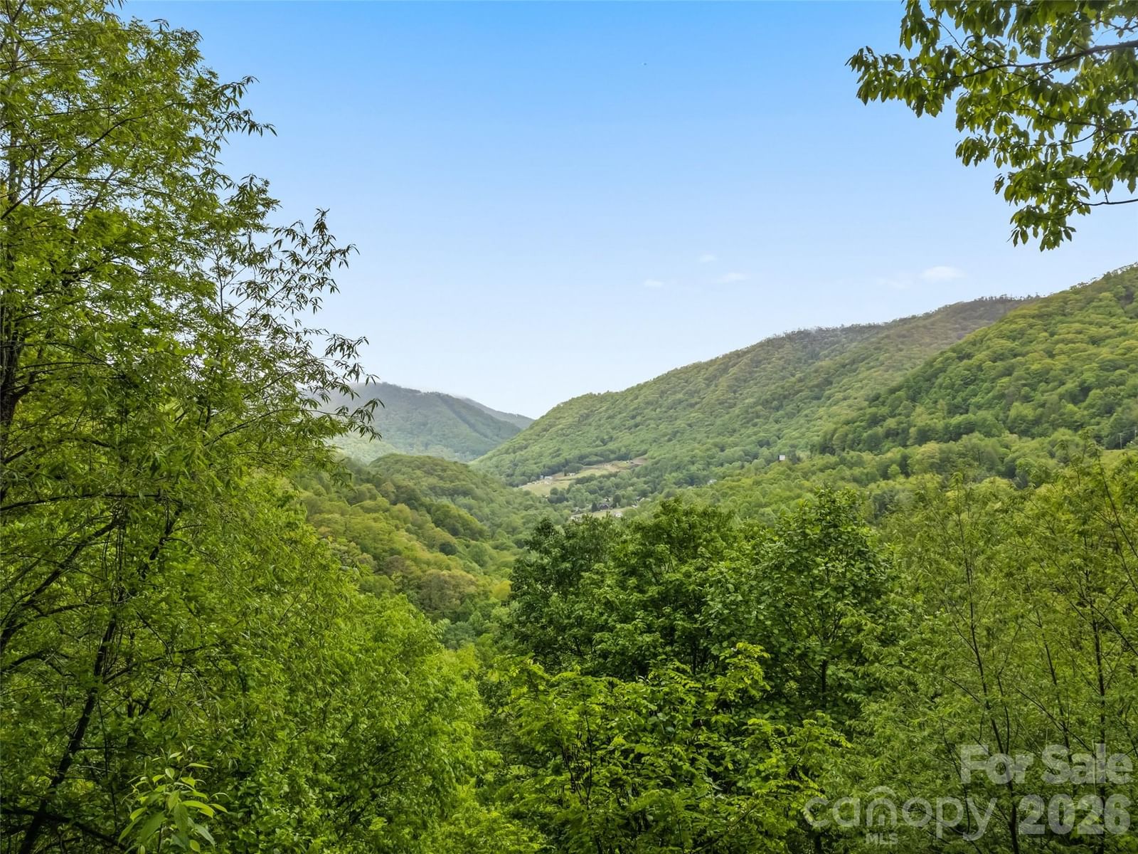 297 Hidden Cove Road, Maggie Valley, NC 28751 - Photo 2