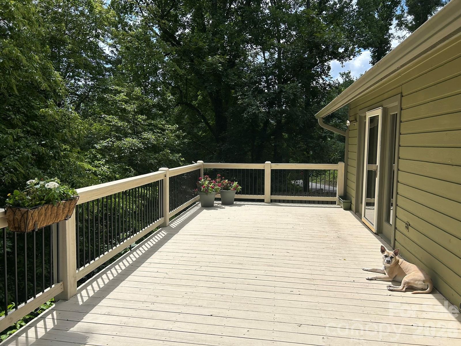 22 Robinhood Road, Asheville, NC 28804 - Photo 4