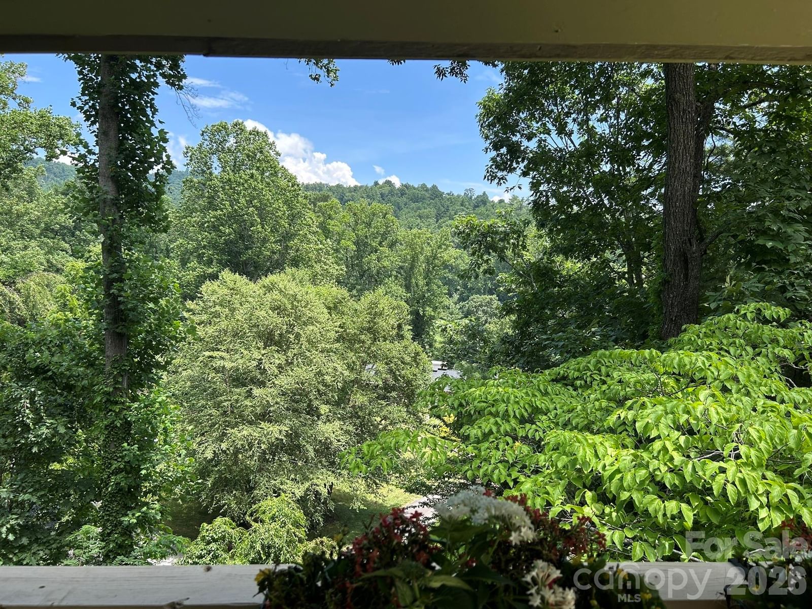 22 Robinhood Road, Asheville, NC 28804 - Photo 5