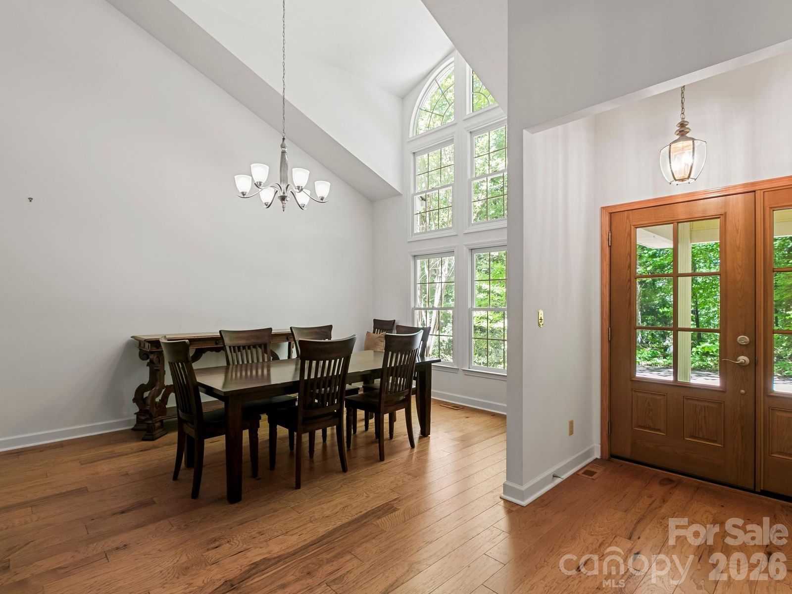 160 Little Mine Mountain Drive, Saluda, NC 28773 - Photo 3