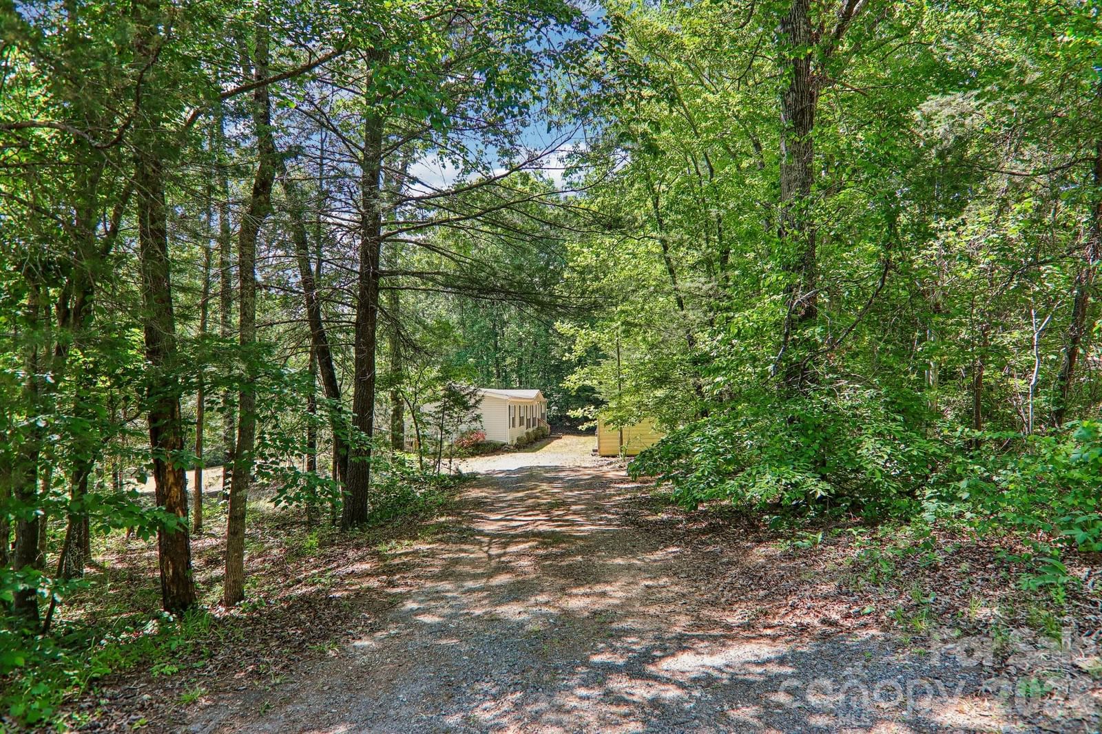 125 Cove Creek Drive, Rutherfordton, NC 28139 - Photo 2
