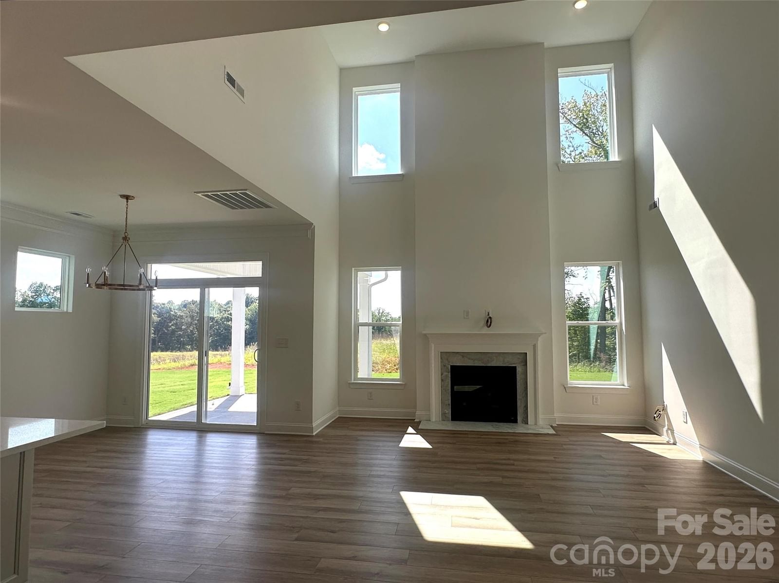 119 Swing Lane, Troutman, NC 28166 - Photo 3