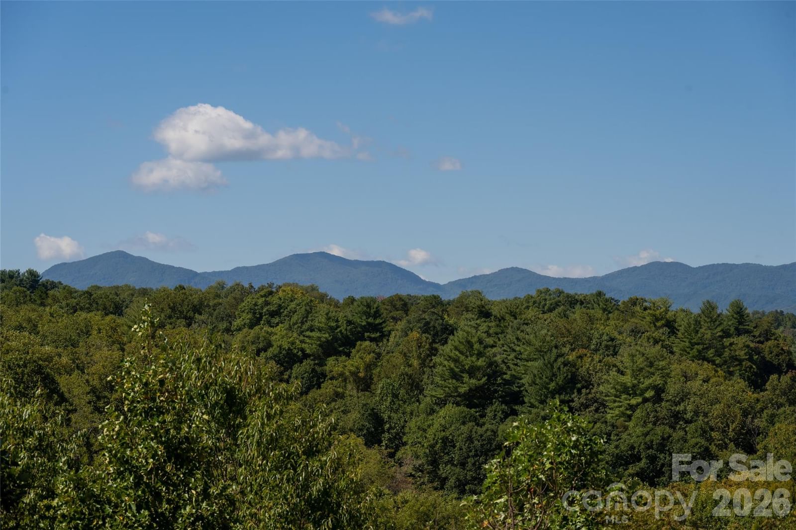 68 Sweet Fern Parkway, Asheville, NC 28804