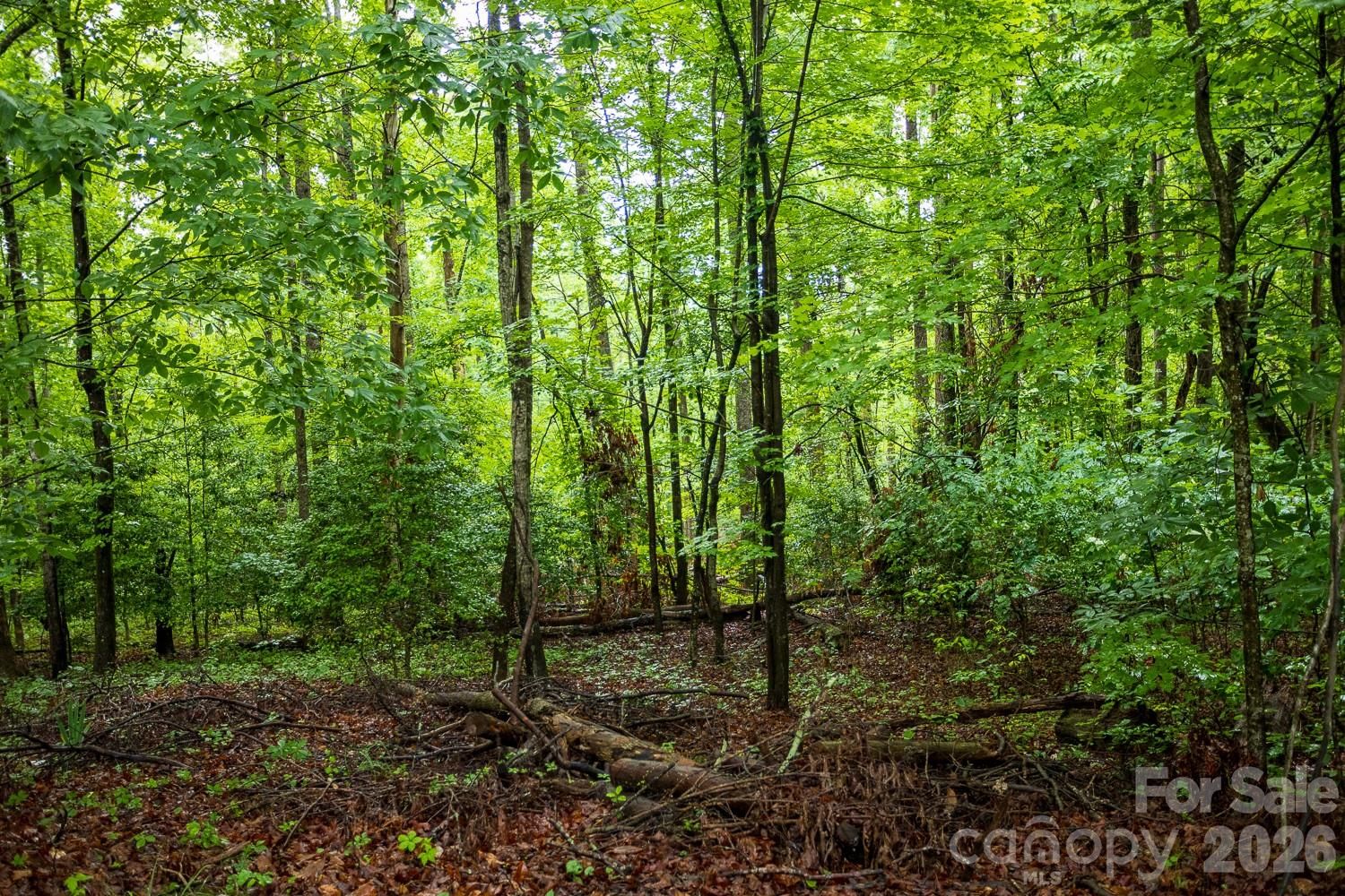 1225 Moss Road, Rutherfordton, NC 28139 - Photo 2