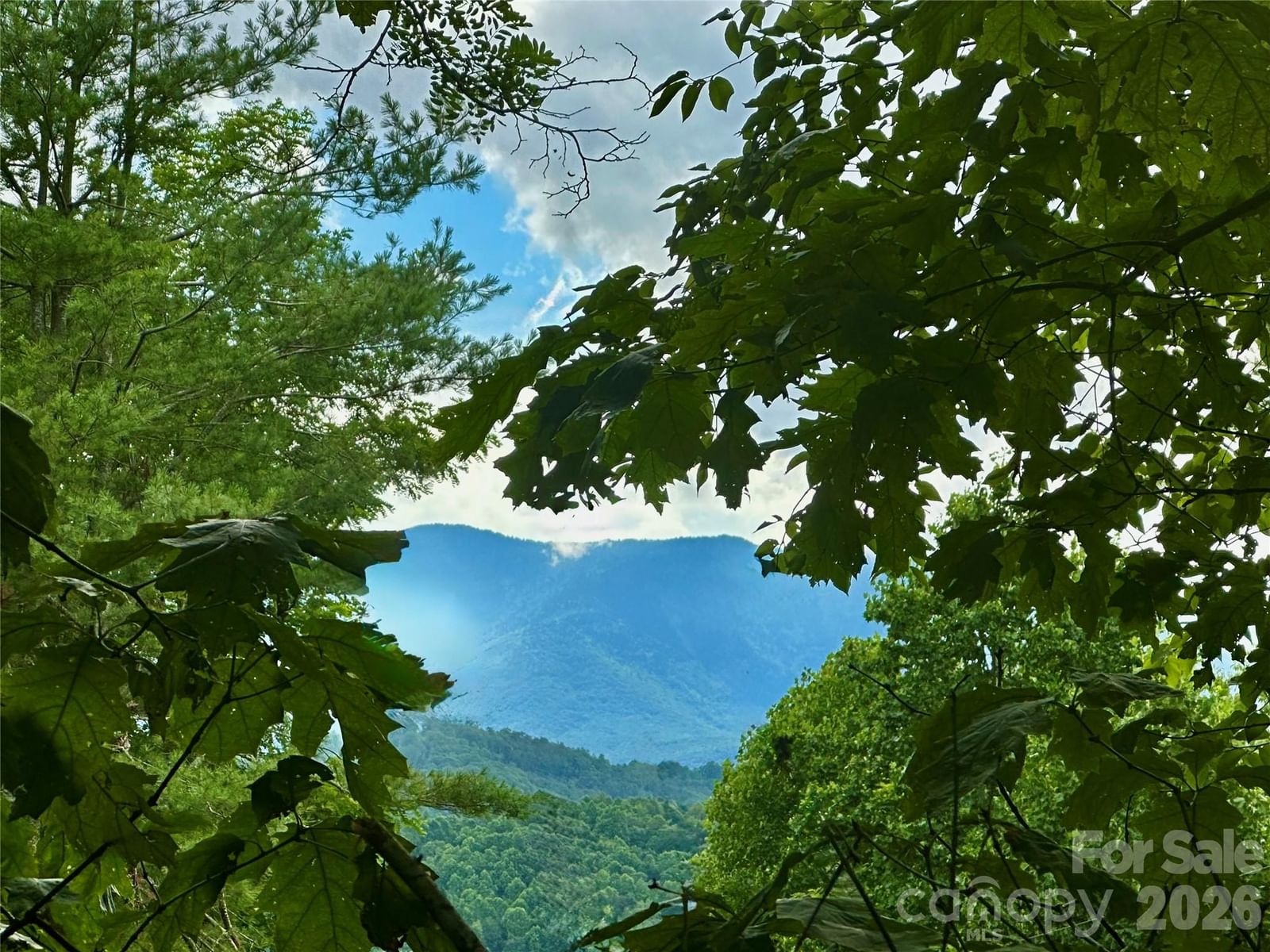 572 Blue Ridge Gem Stone Road, Spruce Pine, NC 28777 - Photo 4