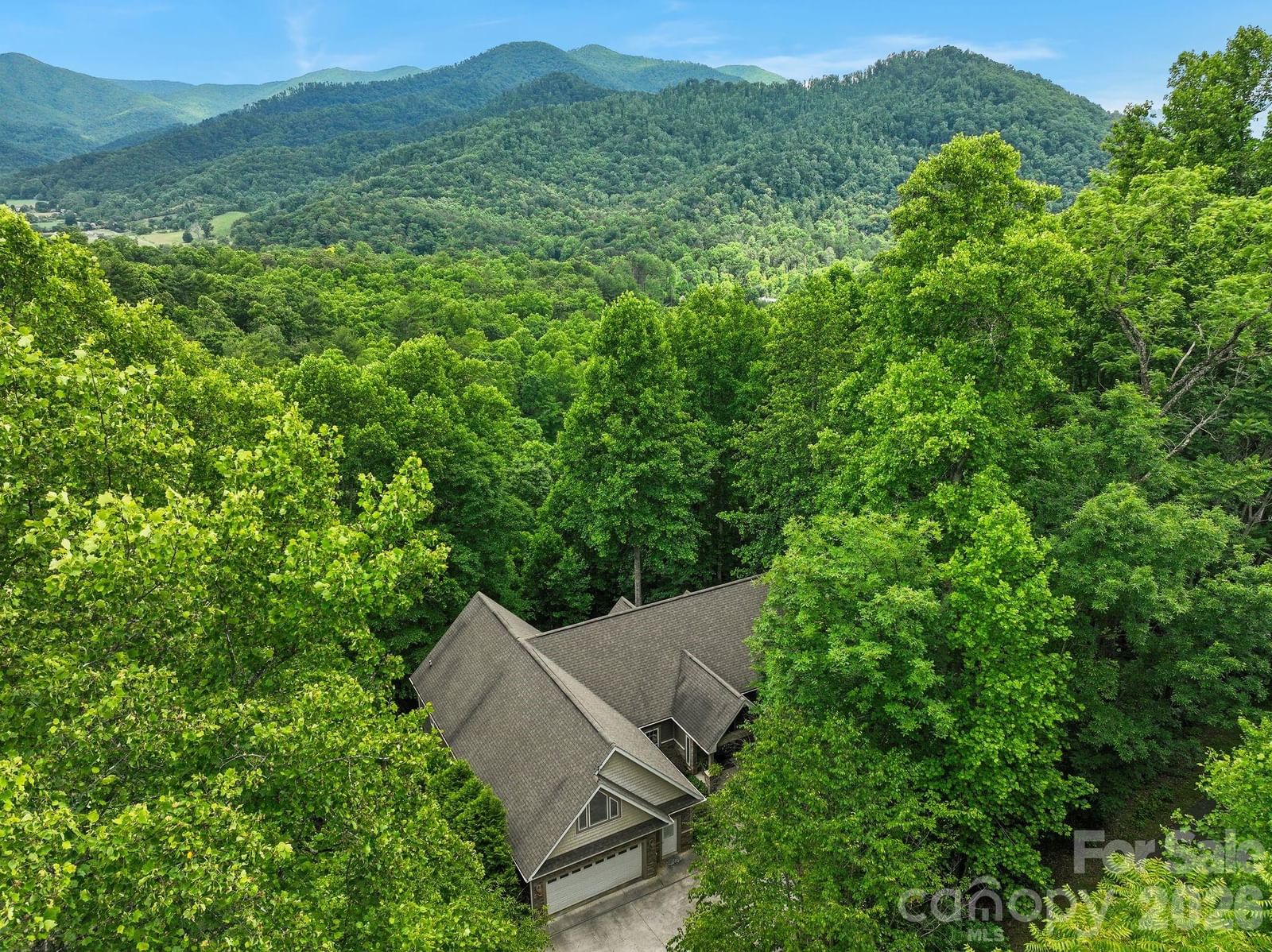 522 Silver Hawk Lane, Weaverville, NC 28787 - Photo 4